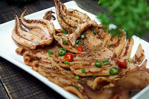 鱿鱼养殖管理要点及节省饲料的养殖方法