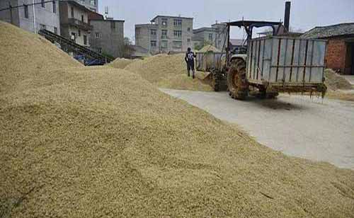 粮食受潮简易应急处理措施