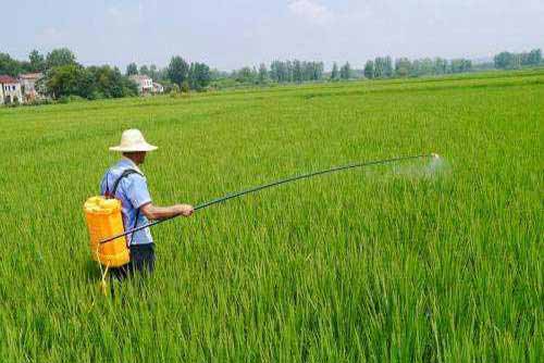 中国农药信息网|农药使用经验三则