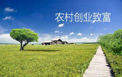 适合农村创业及家庭工厂发展的项目