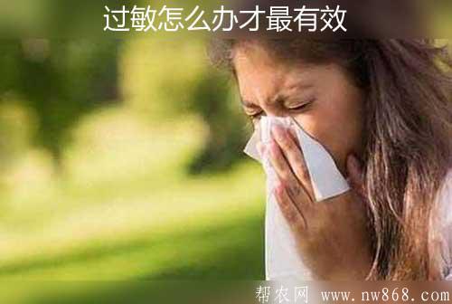 过敏怎么办|过敏有哪些原因|过敏怎么办才最有效