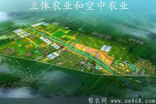 谈谈立体农业和空中农业发展前景