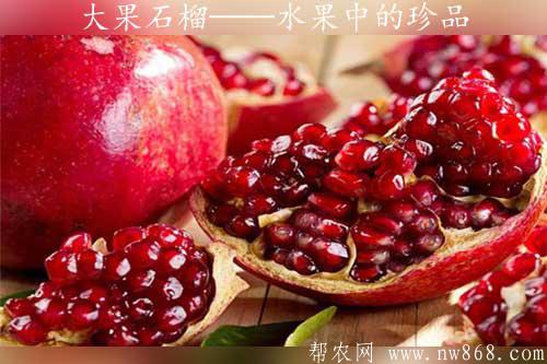 石榴的功效与作用有哪些