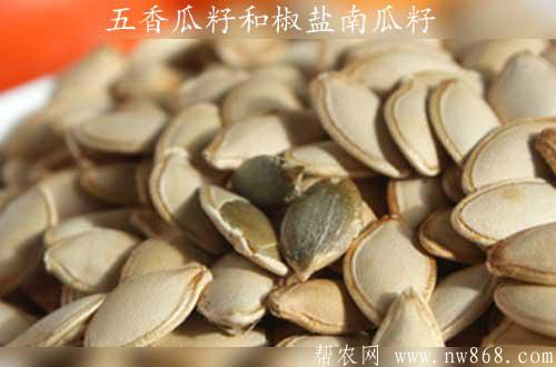 五香瓜籽和椒盐南瓜籽制作方法