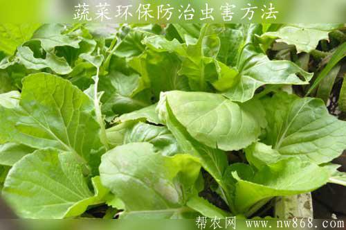 蔬菜环保防治虫害方法