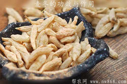 麦冬的功效与作用以及麦冬图片欣赏