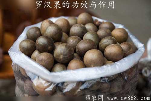 罗汉果的功效与作用以及食用注意事项