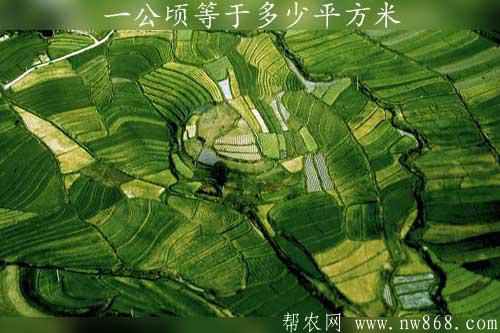 一公顷等于多少平方米？是怎样计算的