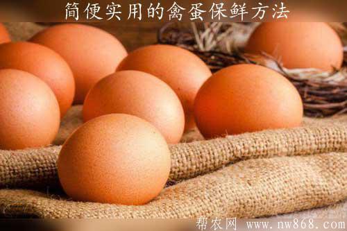 简便实用的禽蛋保鲜方法