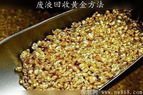 从电子工厂废液回收黄金方法