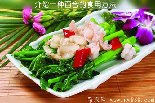 介绍十种百合的食用方法
