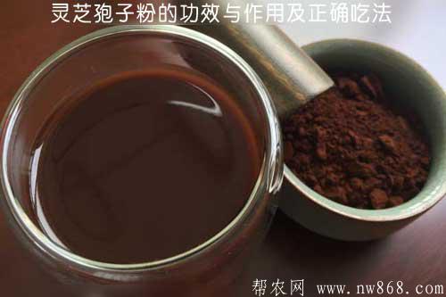 灵芝孢子粉的功效与作用及正确吃法