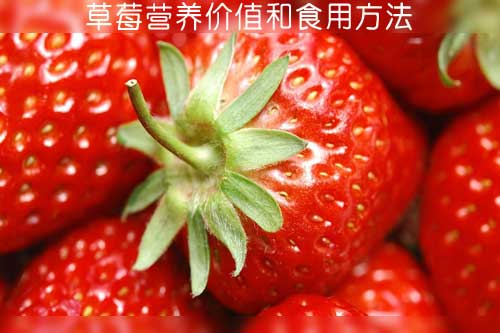 草莓营养价值和食用方法