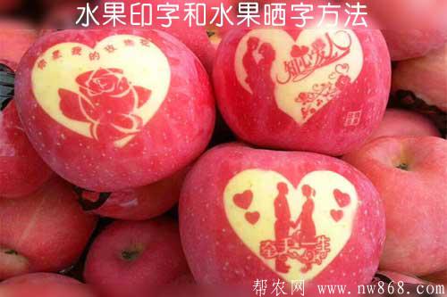 水果印字和水果晒字方法