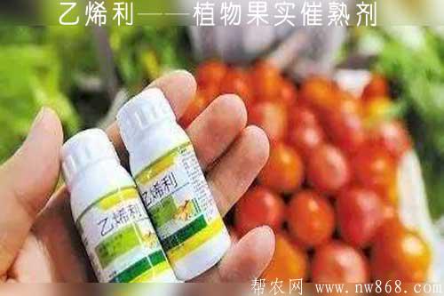 乙烯利——植物果实催熟剂
