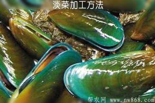 淡菜加工方法