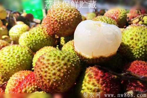 荔枝保鲜贮藏