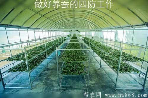 做好养蚕的四防工作