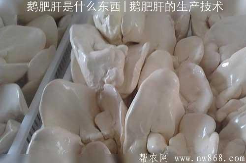 鹅肥肝是什么东西|鹅肥肝的生产技术