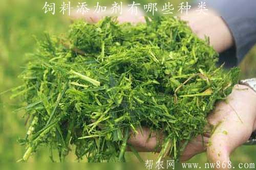 饲料添加剂有哪些种类?如何选用才能取得好的效果 饲料添加剂有哪些种类?如何选用才能取得好的效果