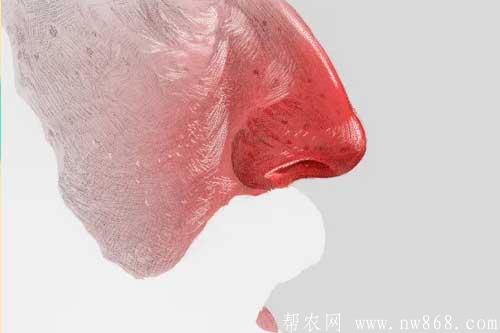 痤疮|酒糟鼻|扁平疣|寻常疣|传染性软疣|尖锐湿疣 痤疮|酒糟鼻|扁平疣|寻常疣|传染性软疣|尖锐湿疣