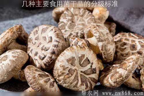 几种主要食用菌干品的分级标准 几种主要食用菌干品的分级标准