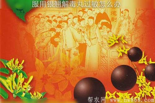 服用银翘解毒丸过敏怎么办 服用银翘解毒丸过敏怎么办