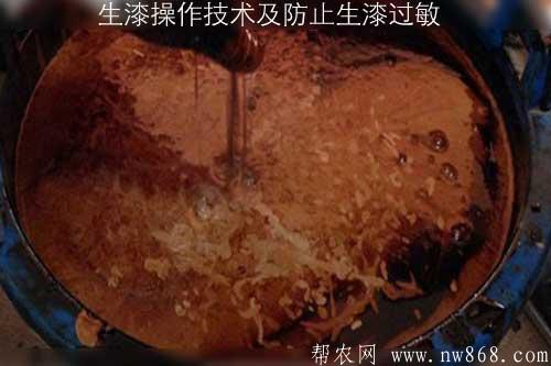 生漆操作技术及防止生漆过敏 生漆操作技术及防止生漆过敏