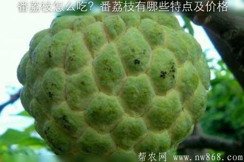 番荔枝怎么吃？番荔枝有哪些特点及价格