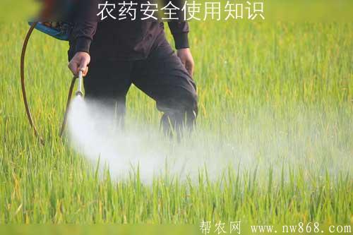 农药安全使用知识——农药使用过程中的失误与对策 农药安全使用知识——农药使用过程中的失误与对策