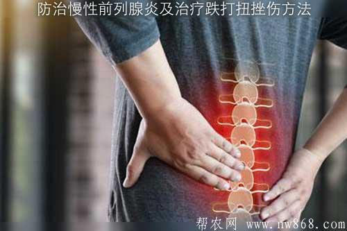 防治慢性前列腺炎及治疗跌打扭挫伤方法 防治慢性前列腺炎及治疗跌打扭挫伤方法