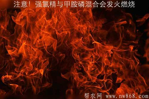 注意!强氯精与甲胺磷混合会发火燃烧 注意!强氯精与甲胺磷混合会发火燃烧