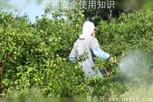 农药安全使用知识——农药使用过程中的失误与对策 农药安全使用知识——农药使用过程中的失误与对策