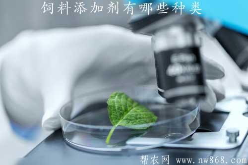 饲料添加剂有哪些种类?如何选用才能取得好的效果 饲料添加剂有哪些种类?如何选用才能取得好的效果