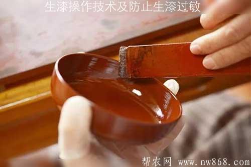 生漆操作技术及防止生漆过敏
