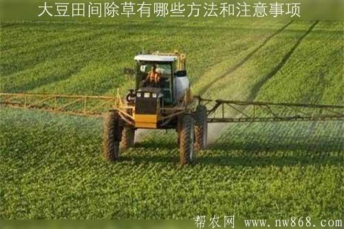 大豆田间除草有哪些方法和注意事项 大豆田间除草有哪些方法和注意事项