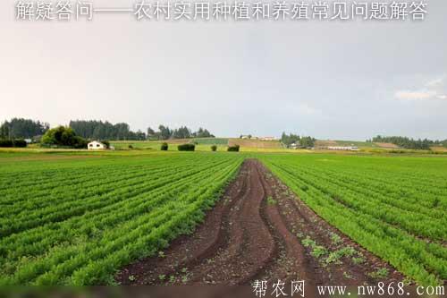 解疑答问——农村实用种植和养殖常见问题解答