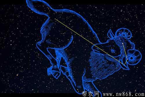 十二星座是哪十二个?附十二星座的月份表供参考 十二星座是哪十二个?附十二星座的月份表供参考