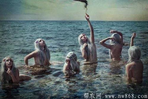 美人鱼生活在哪里?美人鱼真的存在吗 美人鱼生活在哪里?美人鱼真的存在吗