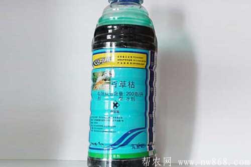 百草枯是什么东西?使用百草枯有哪些注意事项 百草枯是什么东西?使用百草枯有哪些注意事项