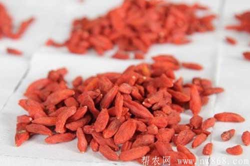 枸杞子的作用与功效有哪些?教你一分钟了解枸杞子 枸杞子的作用与功效有哪些?教你一分钟了解枸杞子