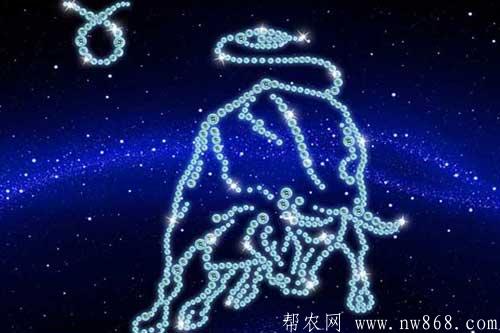 十二星座是哪十二个?附十二星座的月份表供参考 十二星座是哪十二个?附十二星座的月份表供参考