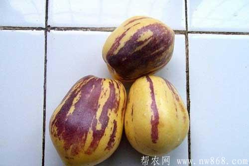 人参果的功效与作用有哪些?人参果怎么吃? 人参果的功效与作用有哪些?人参果怎么吃?