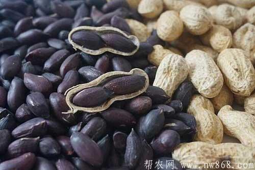 谈谈未来十大暴利种植,或许就有适合你的项目 谈谈未来十大暴利种植,或许就有适合你的项目