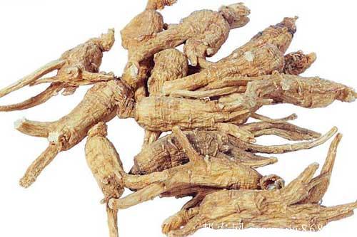 当归的功效与作用是什么?食用当归需要注意哪些问题 当归的功效与作用是什么?食用当归需要注意哪些问题