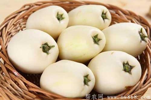人参果怎么吃比较好|人参果还有这样的吃法 人参果怎么吃比较好|人参果还有这样的吃法