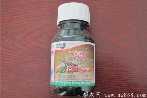 百草枯是什么东西?使用百草枯有哪些注意事项 百草枯是什么东西?使用百草枯有哪些注意事项