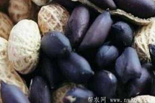未来十大暴利种植行业都有哪些项目？