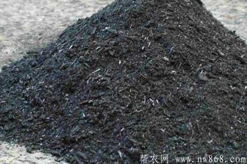 农家肥——草木灰开发和应用 农家肥——草木灰开发和应用