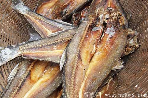 介绍五种鱼产品加工方法 介绍五种鱼产品加工方法